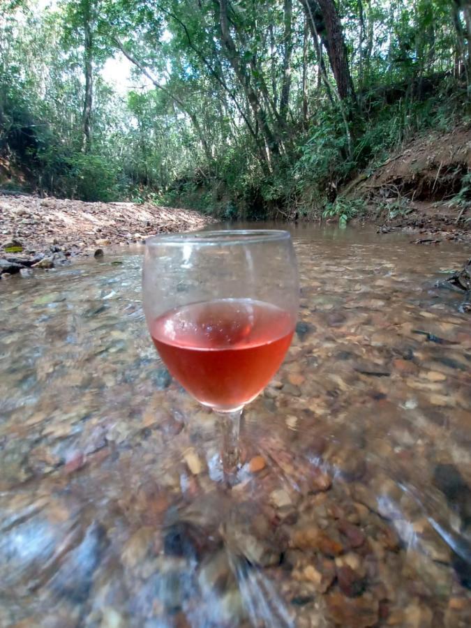 Chale Aconchegante, Pertinho Da Cidade E Conectada A Natureza Brezilya Dış mekan fotoğraf